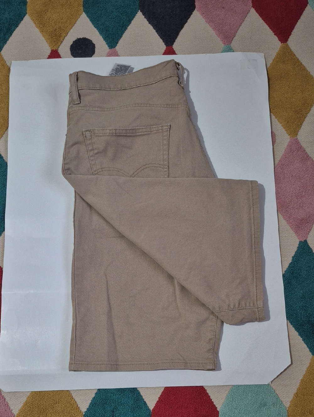 Levi's Mens 569 Loose Straight Shorts